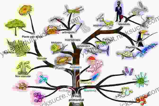 A Branching Evolutionary Tree, Depicting The Interconnectedness And Diversity Of Life Forms Throughout History. Origins Of The Universe And Life: Bible And Science Agreement Or Contradiction? (Cosmic Answers)