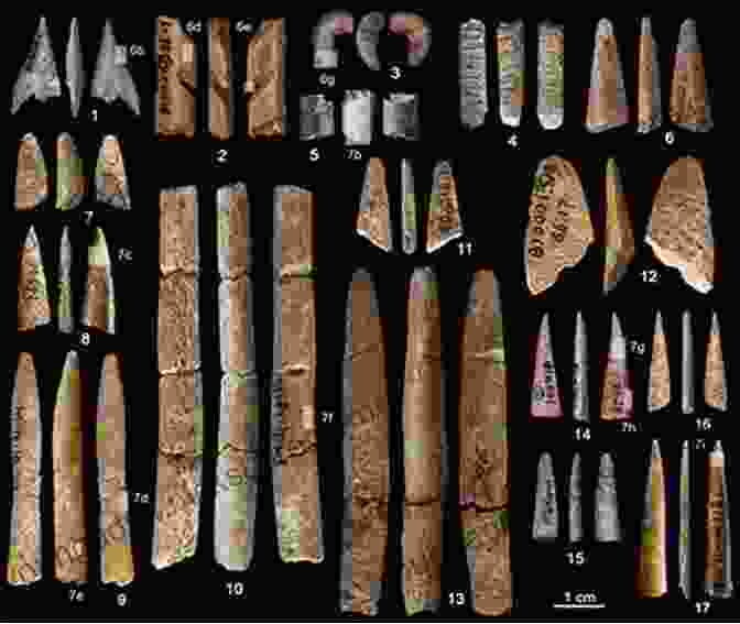 A Collection Of Paleolithic Stone Tools Found In Egypt. Before The Pharaohs: Exploring The Archaeology Of Stone Age Egypt