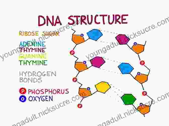 A Diagram Of A DNA Molecule The Story Of Evolution In 25 Discoveries: The Evidence And The People Who Found It