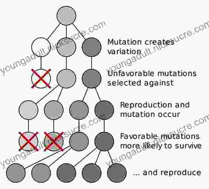 A Diagram Of Natural Selection The Story Of Evolution In 25 Discoveries: The Evidence And The People Who Found It