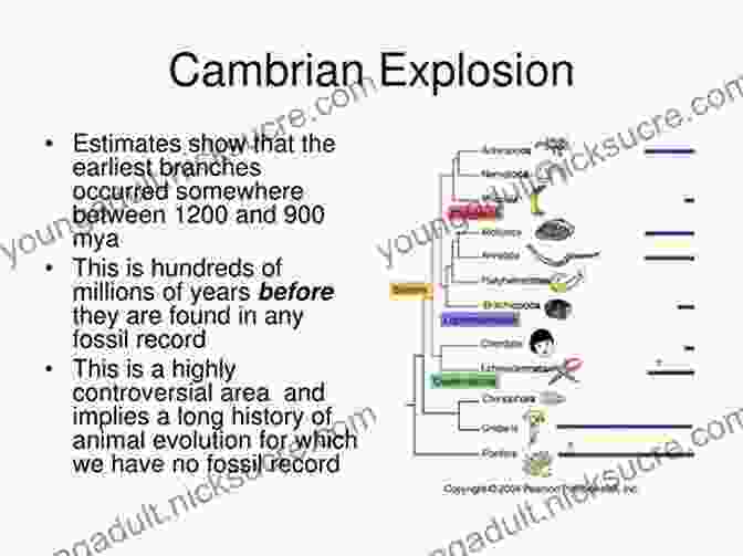 A Diagram Of The Cambrian Explosion The Story Of Evolution In 25 Discoveries: The Evidence And The People Who Found It