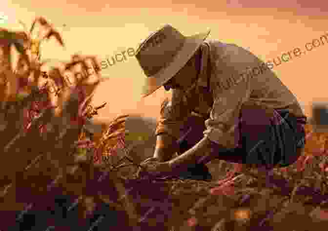 A Nuosu Farmer Tending To His Crops In A Terraced Field The Nuosu Of Origins: A Creation Epic From Southwest China (Studies On Ethnic Groups In China)