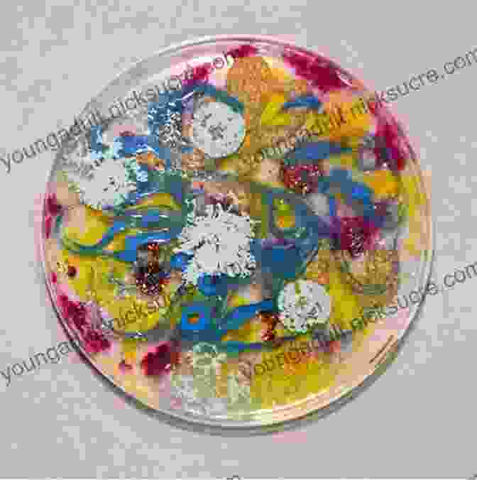 A Petri Dish Filled With Colorful Crystals Grown From A Saturated Salt Solution. Top 21 Science Experiments For Kids: Learn Engage And Have Fun With These Great Science Projects For Children In Elementary And Junior High