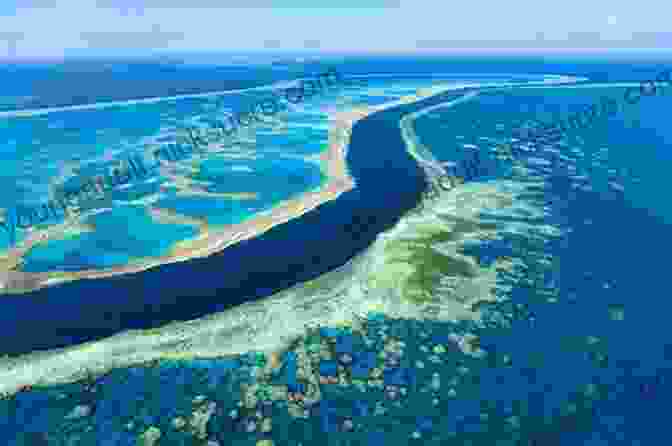 Aerial View Of The Great Barrier Reef Coral Reef Curiosities: Intrigue Deception And Wonder On The Reef And Beyond