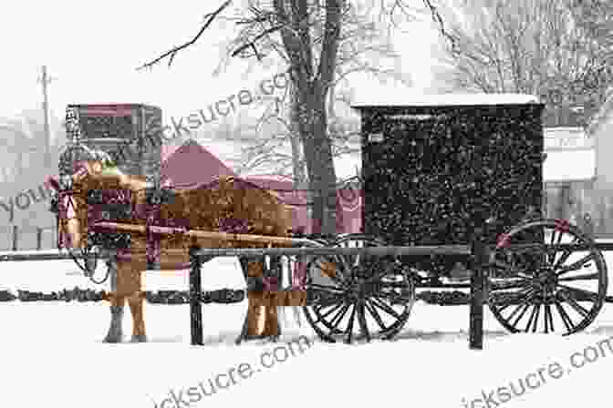 Amish Christmas Play Inside An Amish Schoolhouse: A Personal Account Of An Amish Christmas Play