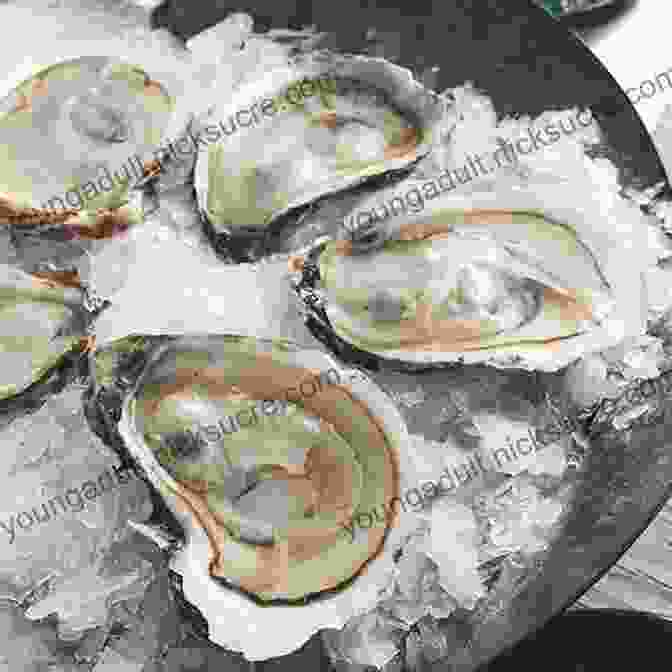 An Oyster On The Half Shell Chesapeake Oysters: The Bay S Foundation And Future (American Palate)