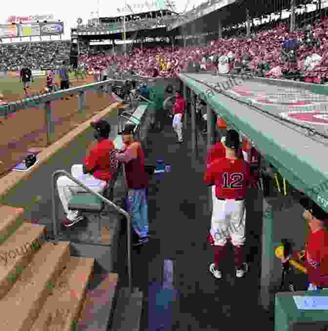 Boston Red Sox Players Sitting In Dugout During Game At Fenway Park Amazing Tales From The Boston Red Sox Dugout: A Collection Of The Greatest Red Sox Stories Ever Told (Tales From The Team)