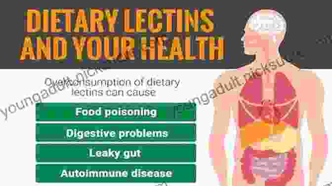 Diagram Illustrating The Various Health Issues Associated With Lectins SUMMARY Of The Plant Paradox: The Hidden Dangers In Healthy Foods That Cause Disease And Weight Gain