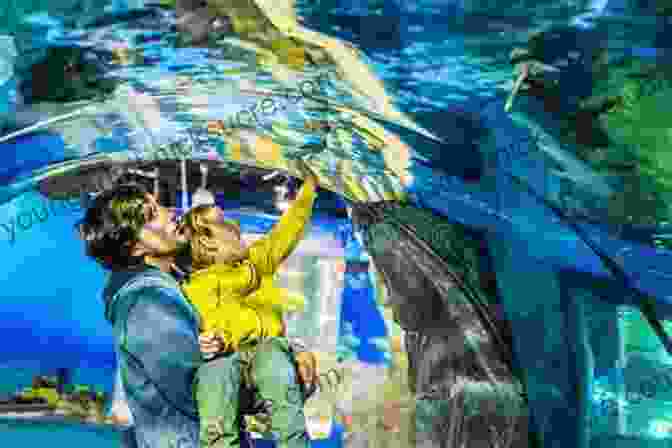 Father And Son At The Aquarium 101 Awesome Things To Do With Your Child Other Musings Of A Divorced Dad