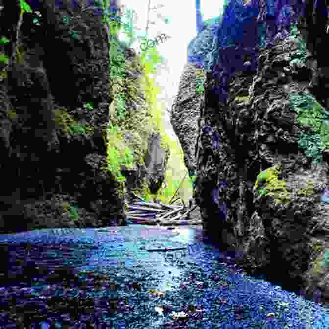 Hikers Navigate The Narrow Passageways Of Oneonta Gorge, Surrounded By Towering Basalt Walls And Cascading Waterfalls. Oregon Day Trips By Theme (Day Trip Series)