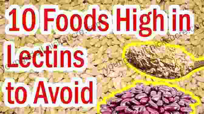 Image Of Foods Rich In Lectins, Such As Beans, Lentils, And Grains SUMMARY Of The Plant Paradox: The Hidden Dangers In Healthy Foods That Cause Disease And Weight Gain