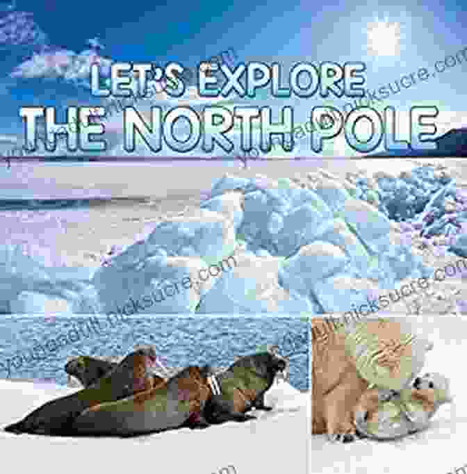 Northern Lights Let S Explore The North Pole: Arctic Exploration And Expedition (Children S Explore The World Books)