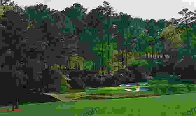 Panorama View Of Augusta National Golf Course Joe Peta S Tour Guide Presents A 2024 Masters Preview