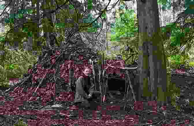 Primitive Shelter Made Of Natural Materials Like Wood And Leaves Unlearn Rewild: Earth Skills Ideas And Inspiration For The Future Primitive