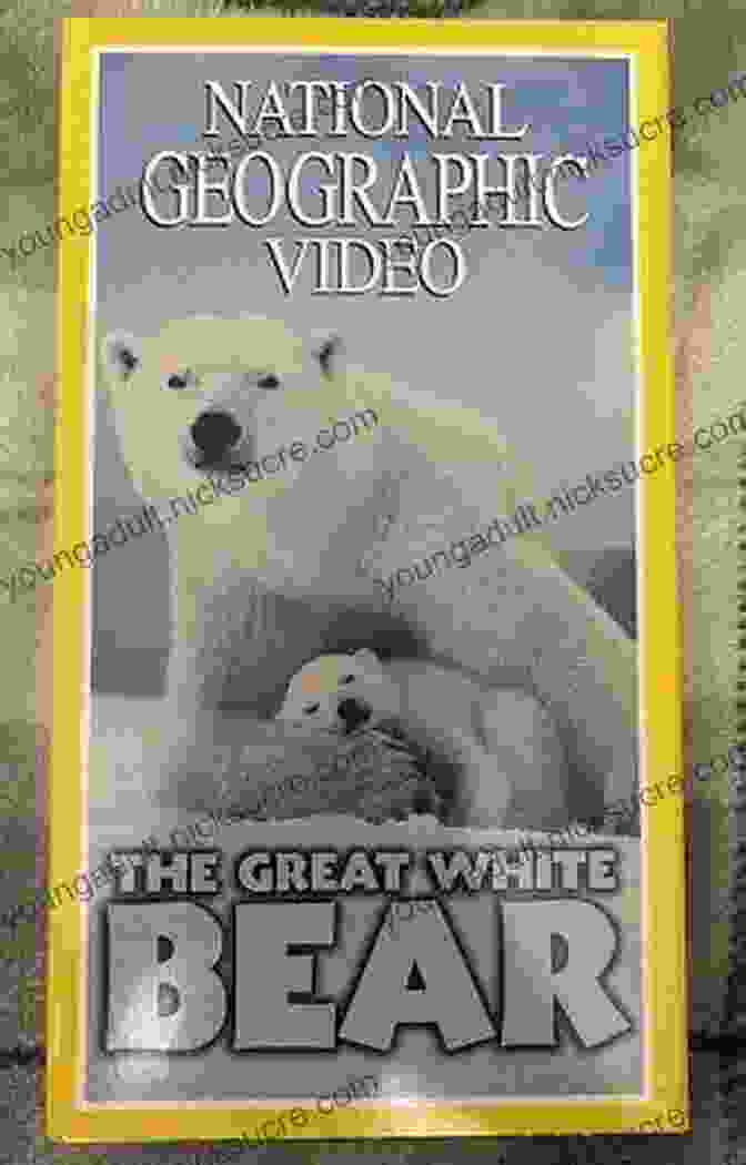 The Great White Bear Let S Explore The North Pole: Arctic Exploration And Expedition (Children S Explore The World Books)