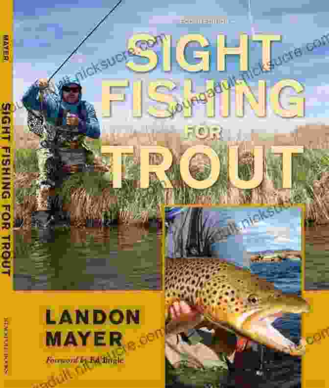 Trout Fisherman Guide 2nd Edition Book Cover Soft Hackled Fly The: And Tiny Soft Hackles: A Trout Fisherman S Guide 2nd Edition