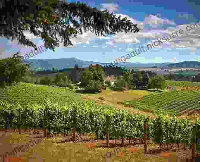 Visitors Sip Wine At A Vineyard In Oregon's Willamette Valley, Surrounded By Rolling Hills, Lush Vineyards, And A Picturesque Sunset. Oregon Day Trips By Theme (Day Trip Series)