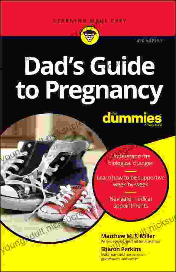 Dad s Guide to Pregnancy For Dummies