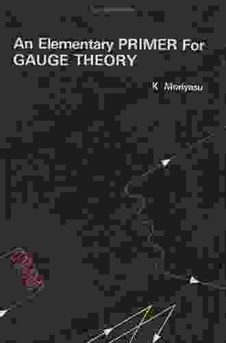 Elementary Primer For Gauge Theory An