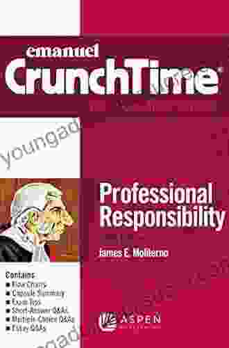 Emanuel CrunchTime For Professional Responsibility