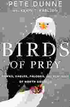 Birds of Prey: Hawks Eagles Falcons and Vultures of North America