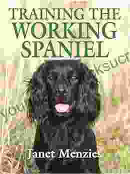 Training The Working Spaniel Janet Menzies